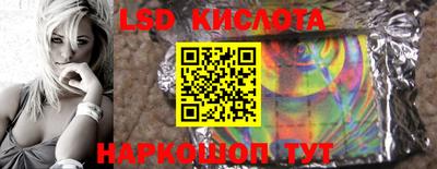 мет Кингисепп