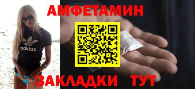 мет Кингисепп