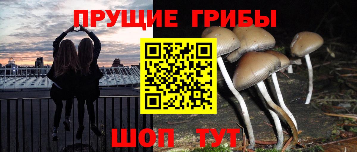Галлюциногенные грибы мицелий  Псилоцибиновые грибы GOLDEN TEACHER  Вход с VPN  Кингисепп 