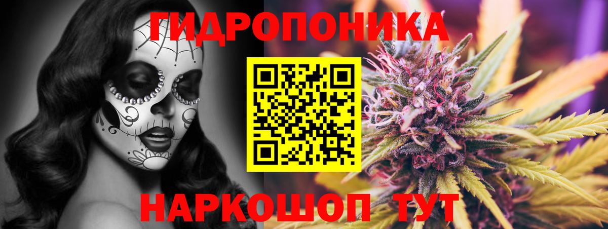 Бошки марихуана конопля Кингисепп